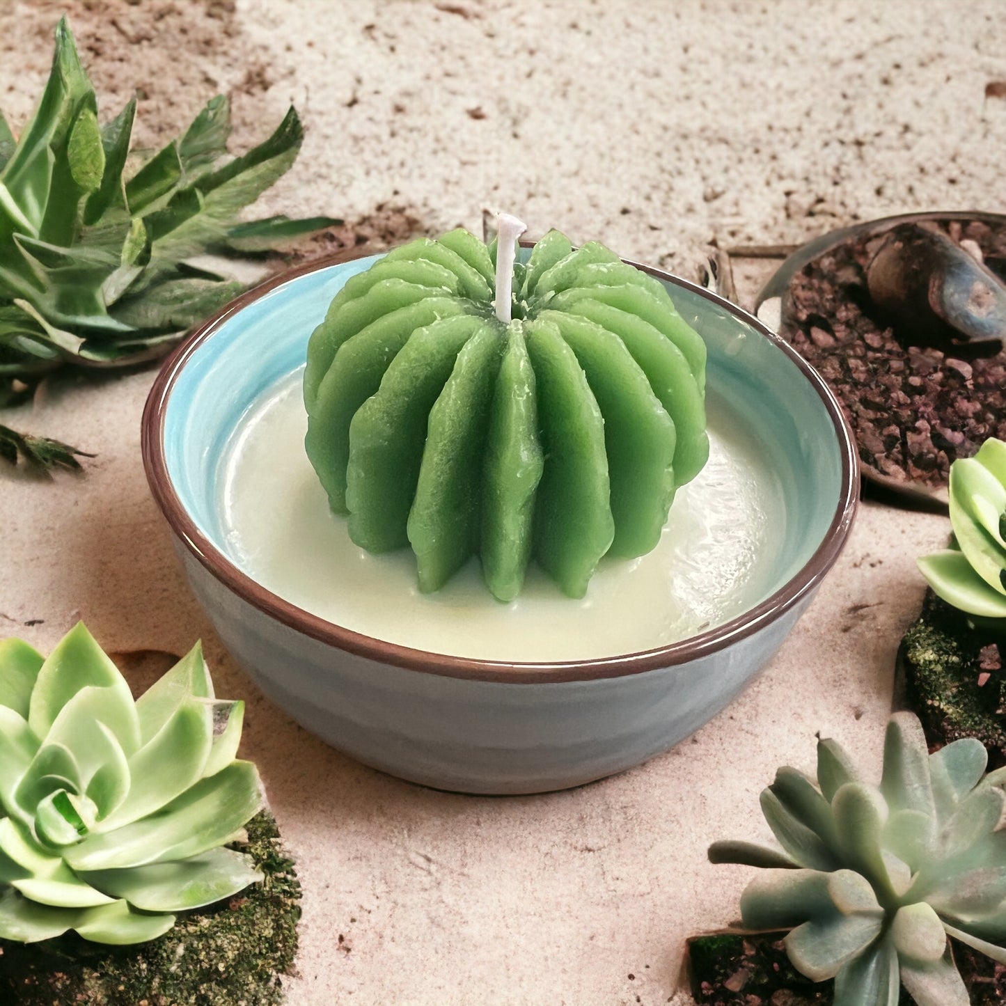 Mini Cactus Candles