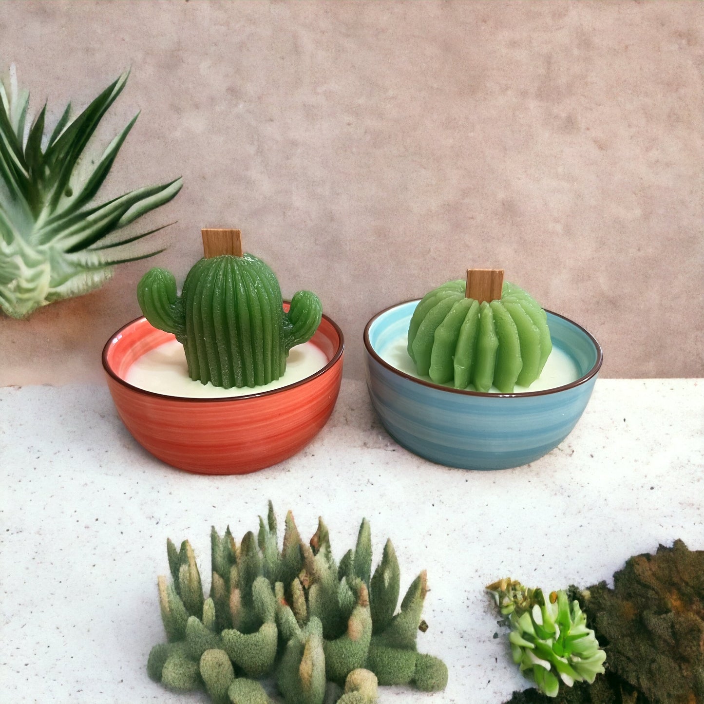 Mini Cactus Candles