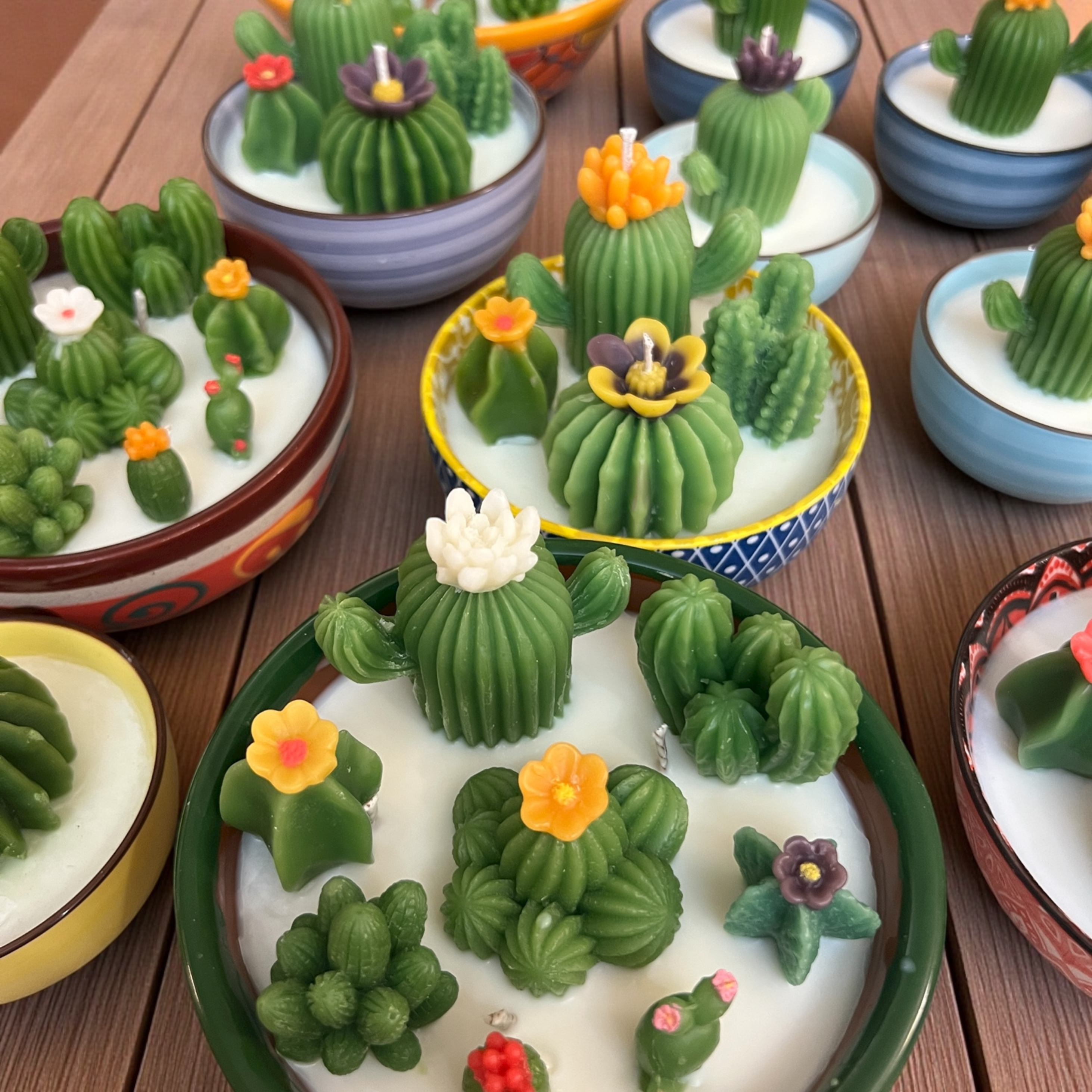 Cactus Gardens Bowls