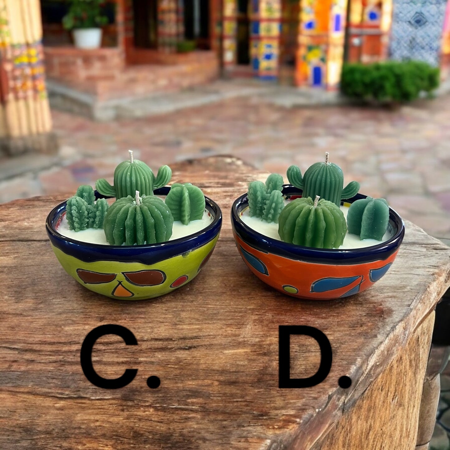 Talavera Cactus Gardens