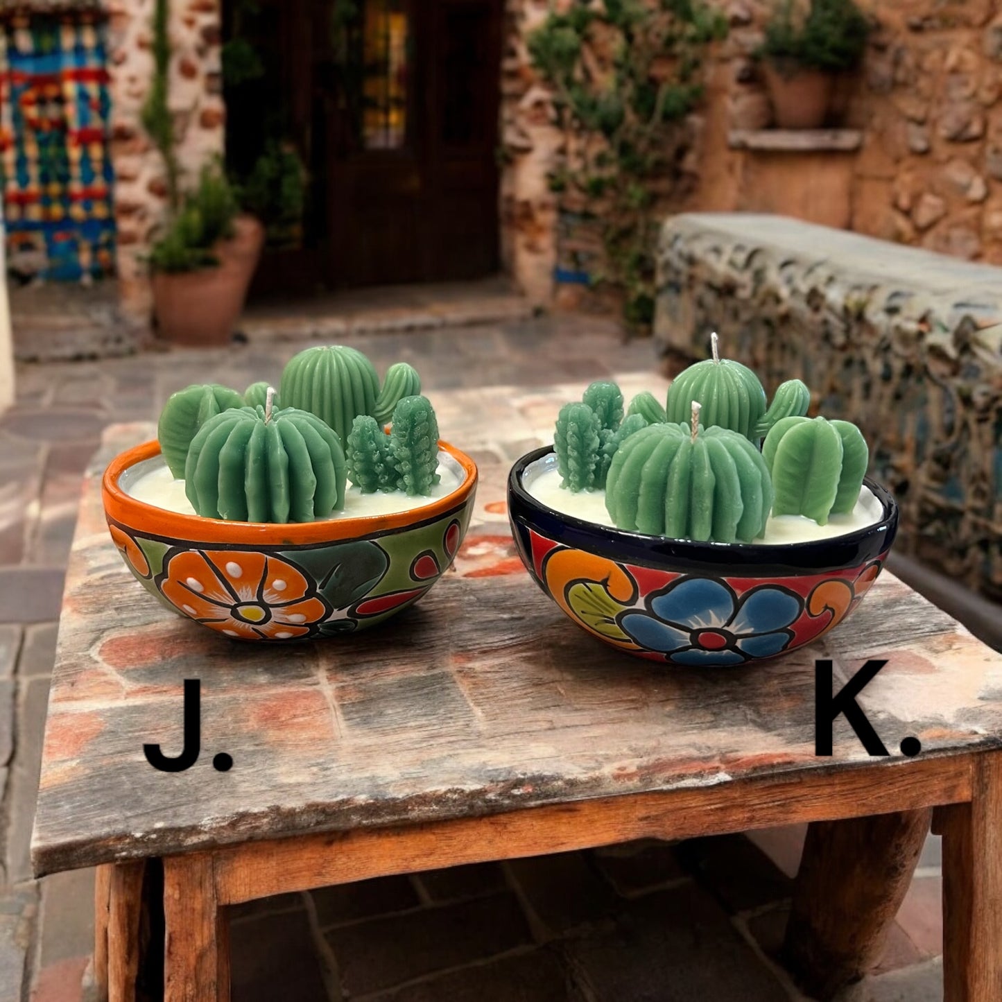 Talavera Cactus Gardens