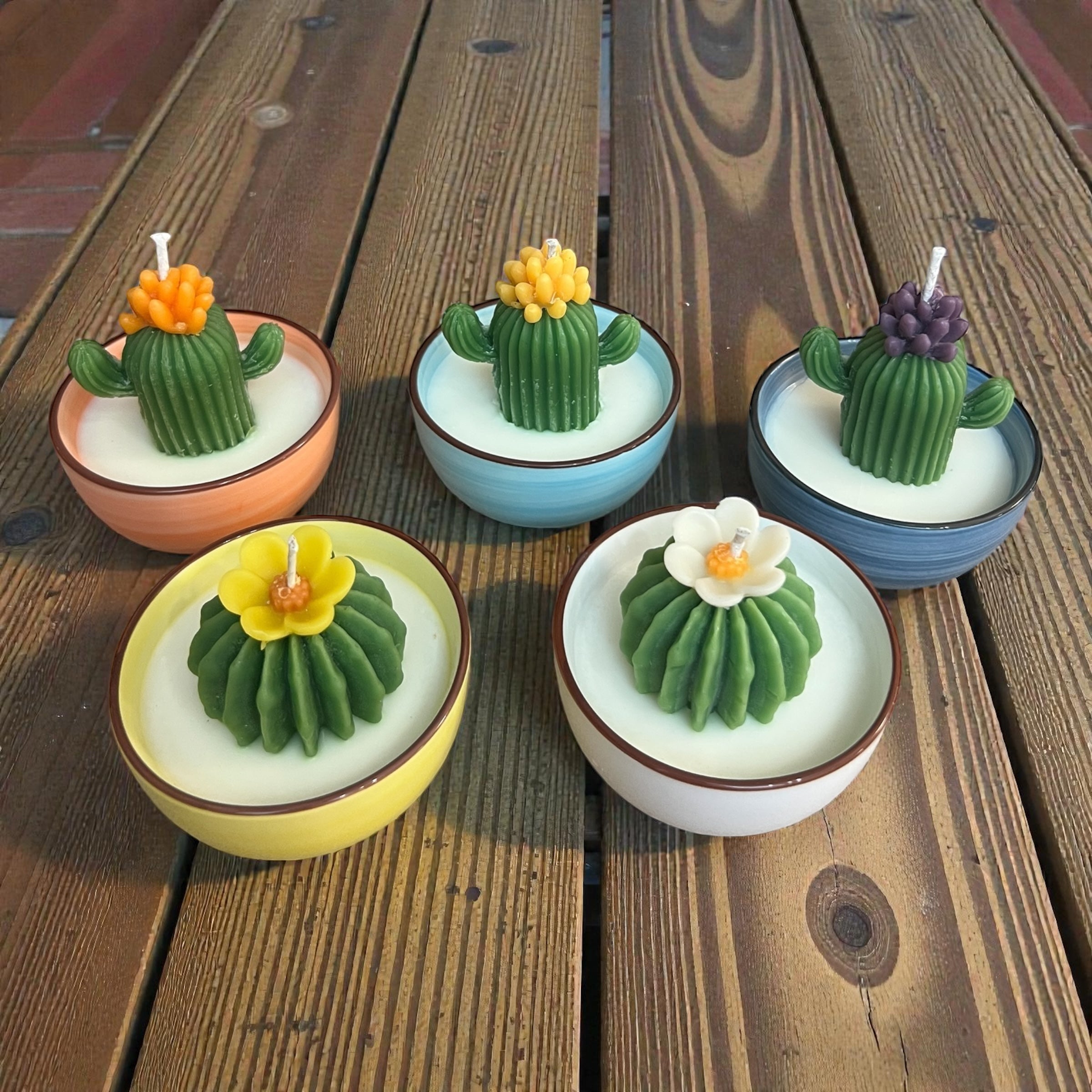 Mini Cactus Candles – MamabearAZ