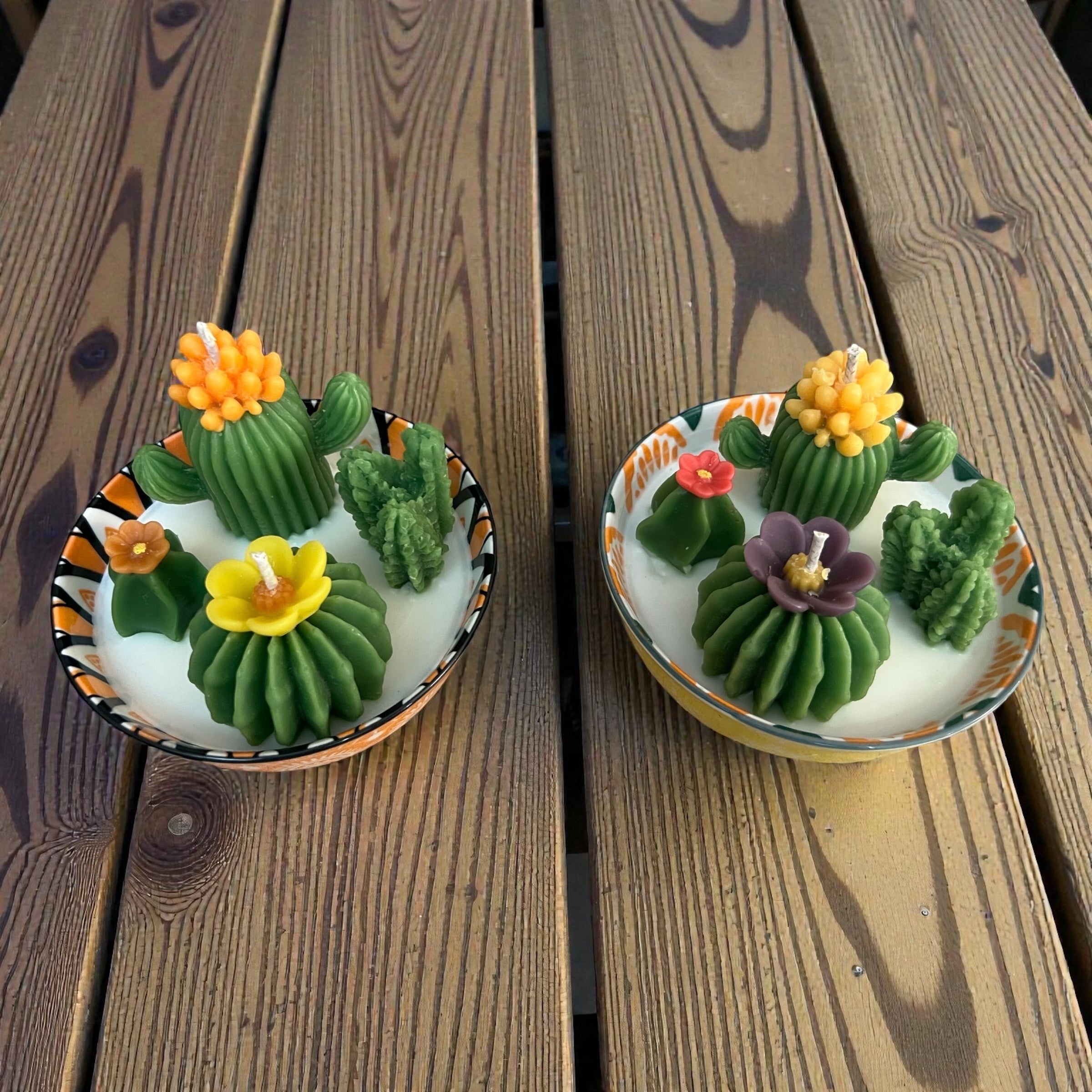 Cactus Garden with Flowers