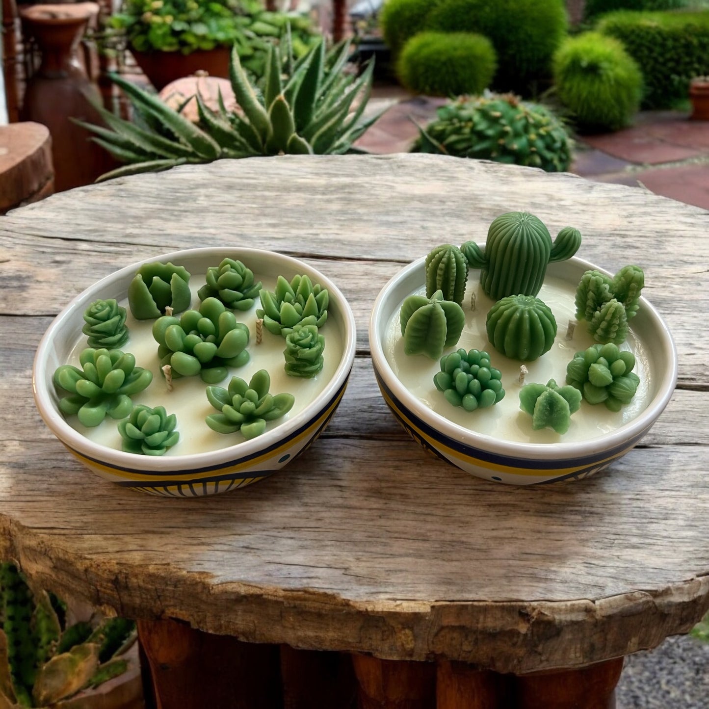 Large Cactus Bowls