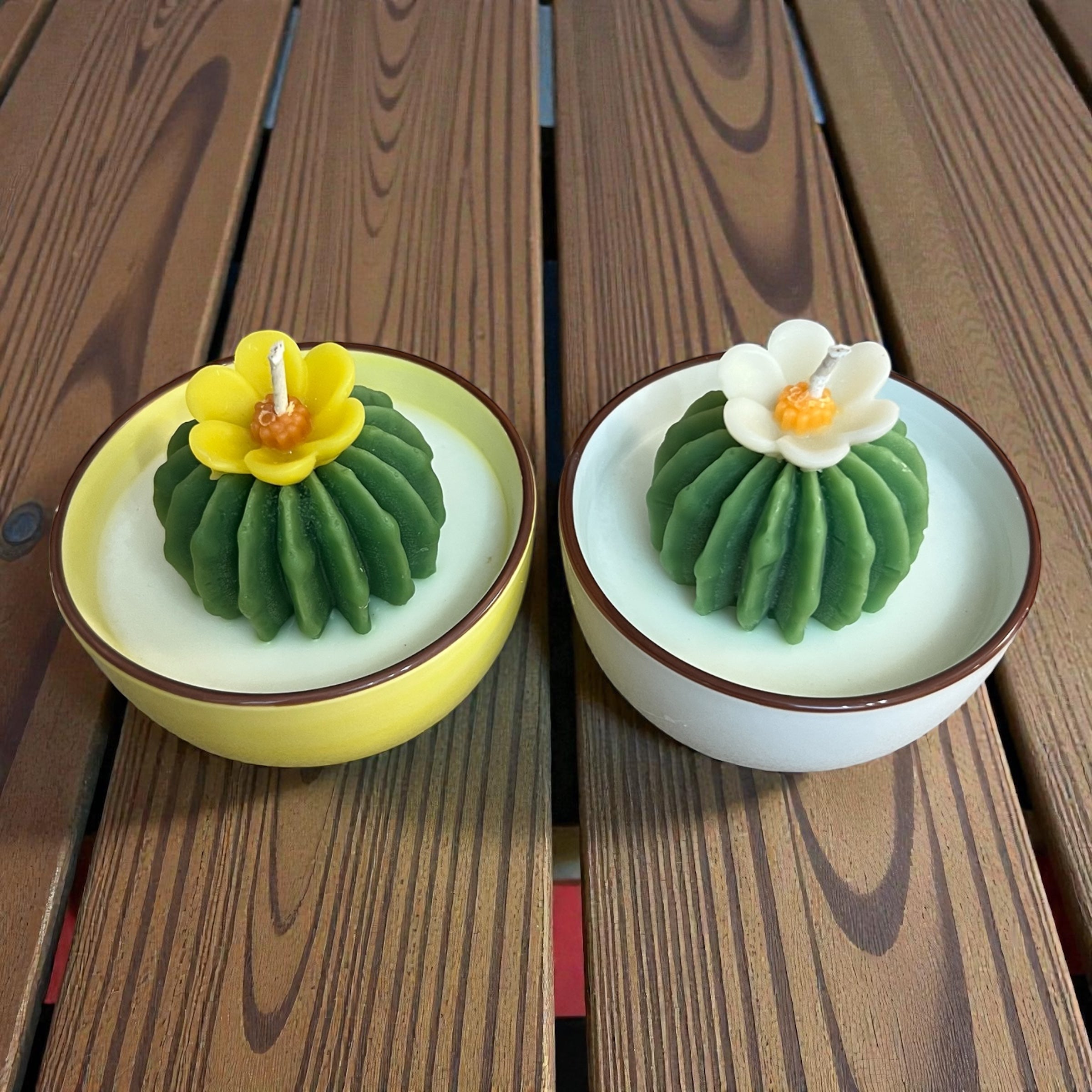 Mini Cactus Candles – MamabearAZ