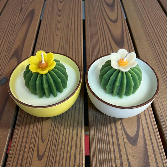 Mini Cactus Candles