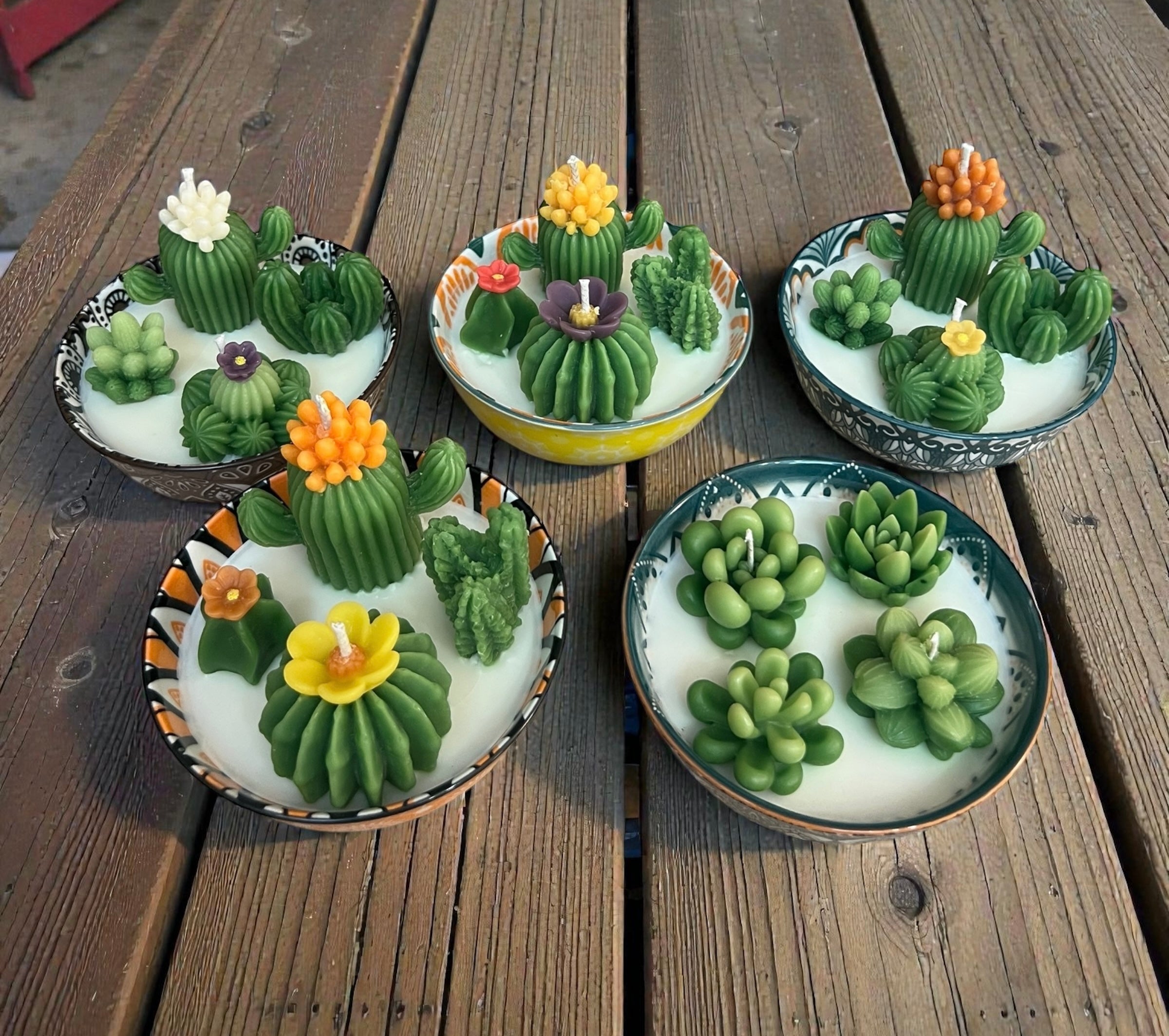 Cactus Garden with Flowers