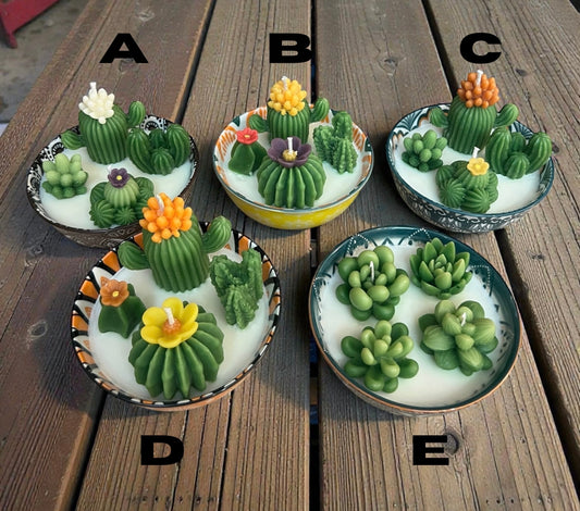 Cactus Garden with Flowers