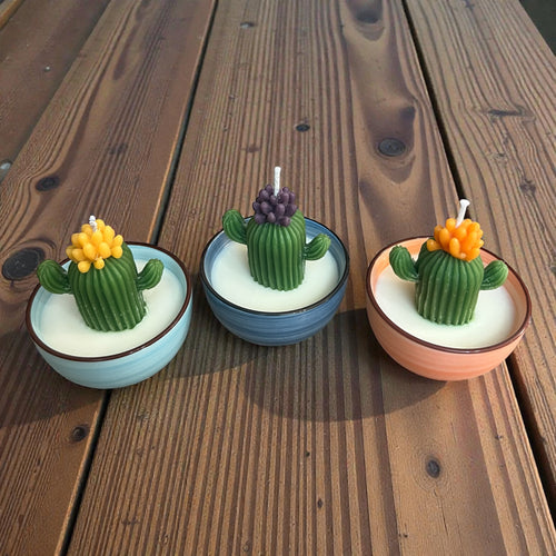 Mini Cactus Candles