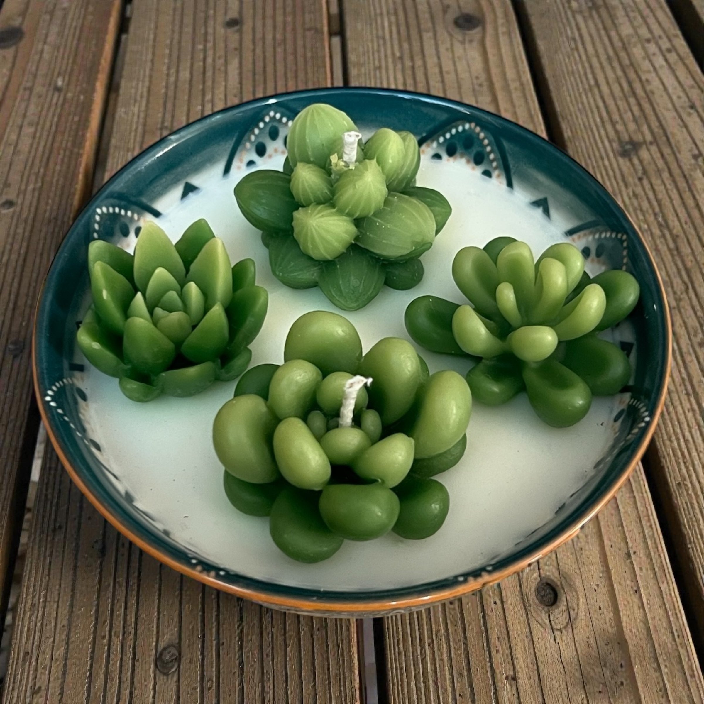 Cactus Garden with Flowers