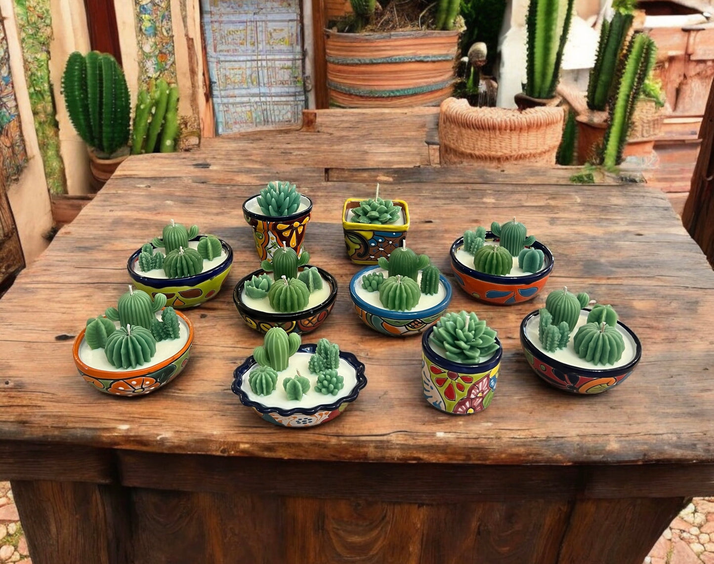 Talavera Cactus Gardens