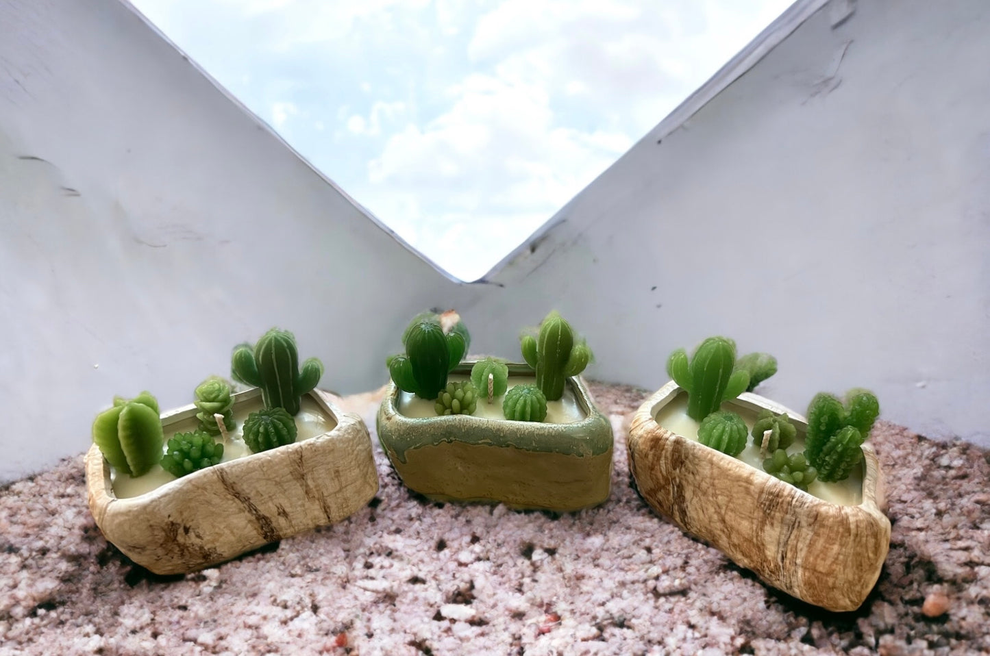 Cactus Garden “rock” planter