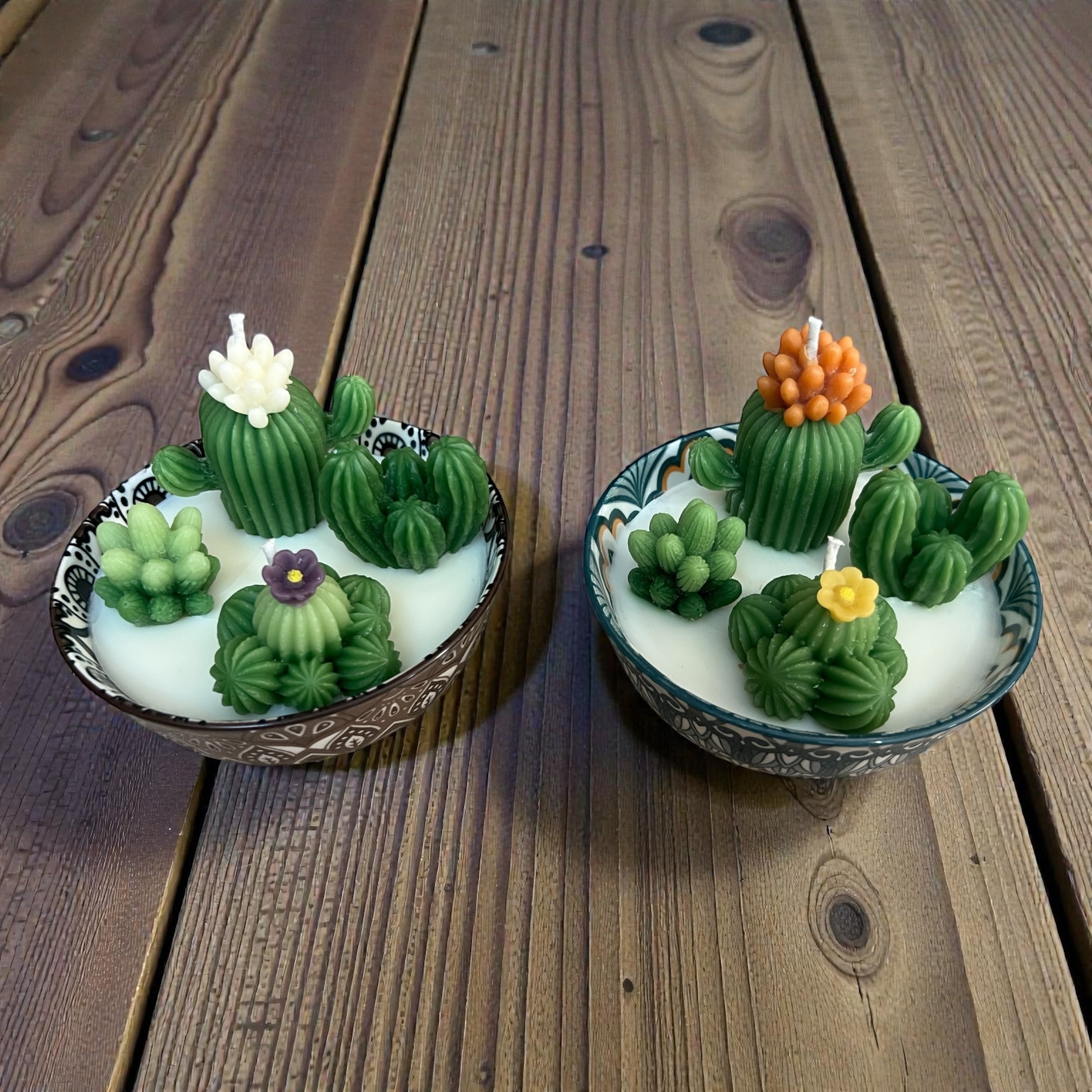 Cactus Garden with Flowers