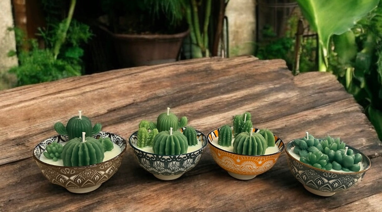 Cactus Garden Festive Pots