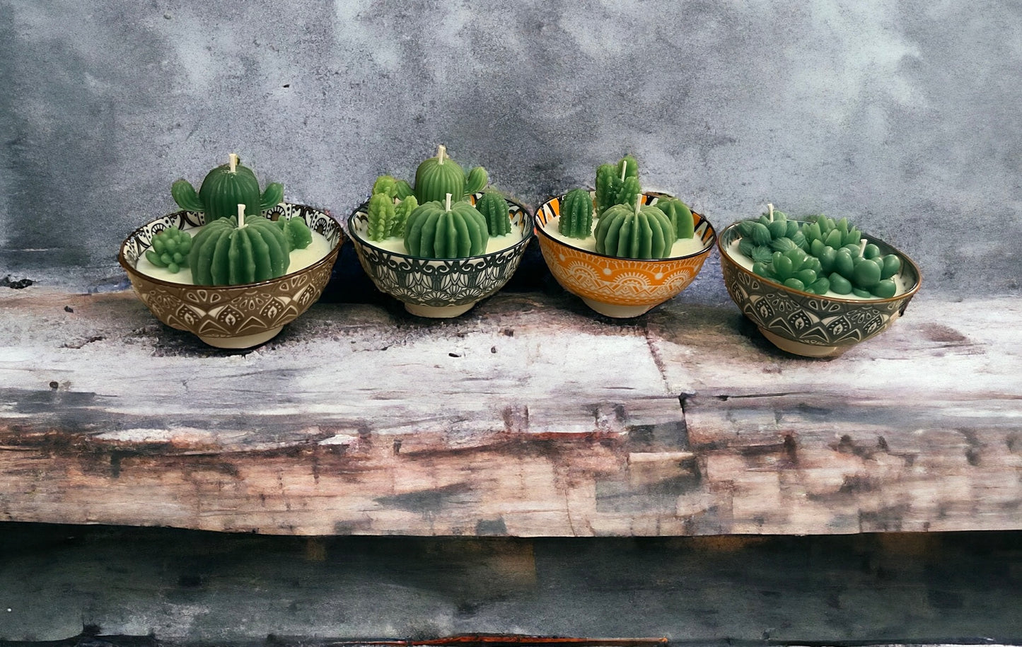 Cactus Garden Festive Pots
