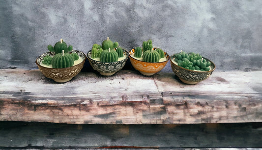 Cactus Garden Festive Pots