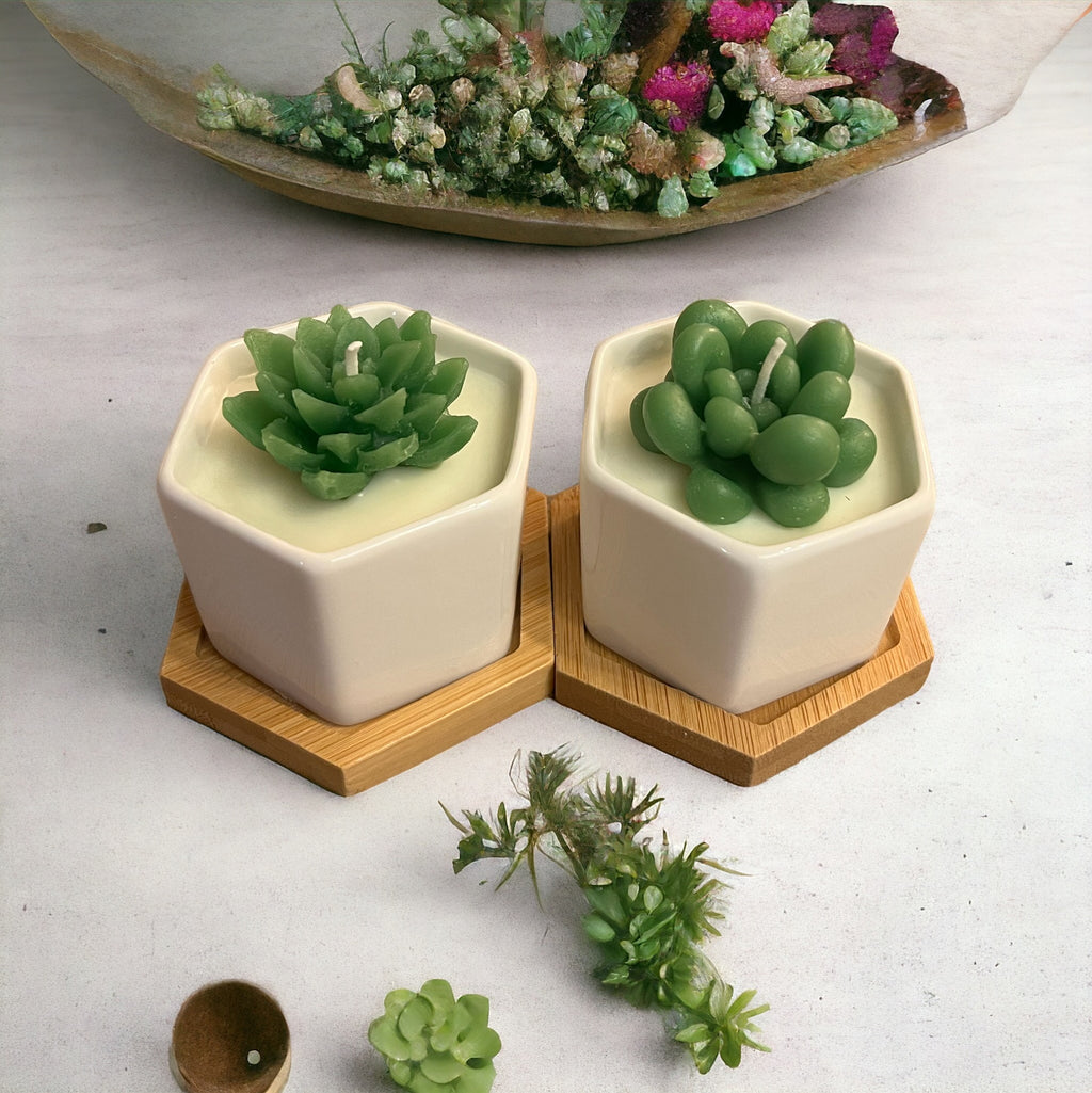 Mini planters