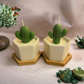 Mini planters